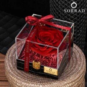 باکس صندوق چرمی / گل رز قرمز مخملی