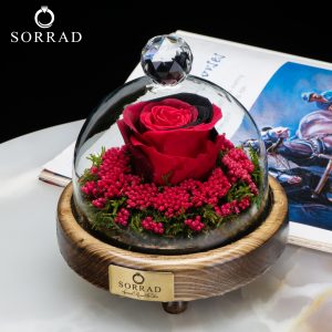 باکس چوبی شیشه ای زوج / گل رز قرمز-مشکی