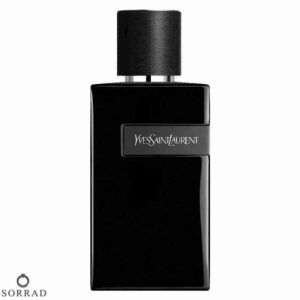 عطر ادکلن ایو سن لورن وای له پارفوم | Yves Saint Laurent Y Le Parfum